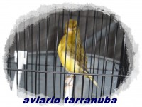 /album/fotogaleria/sam-4049-jpg/