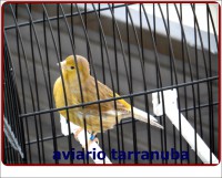 /album/fotogaleria/sam-4026-jpg/