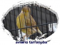 /album/fotogaleria/sam-4027-jpg/