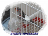 /album/fotogaleria/sam-4037-jpg/