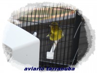 /album/fotogaleria/sam-4039-jpg/